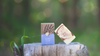 Alpine Glow Soap
