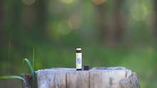 Load image into Gallery viewer, Peppermint Lip Balm